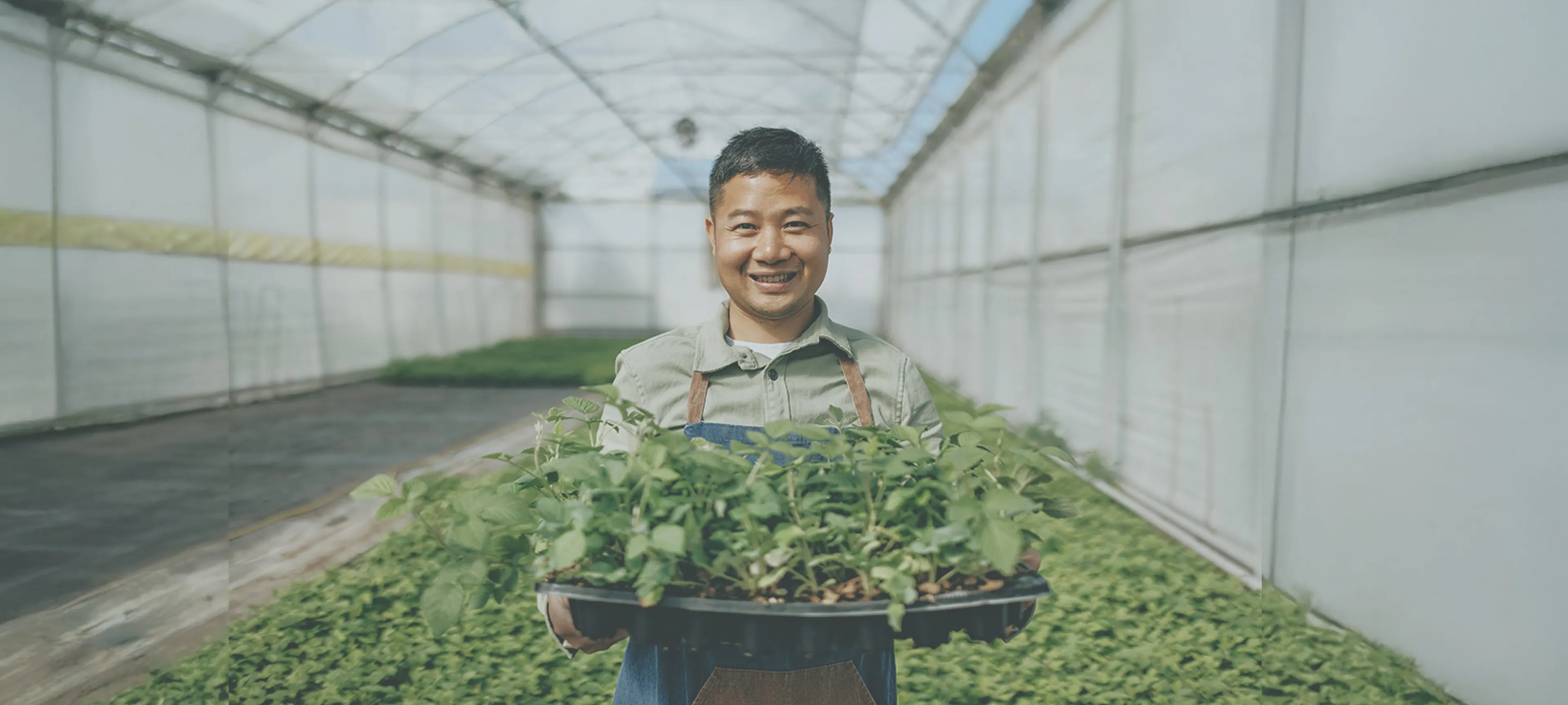 ビジュアル画像