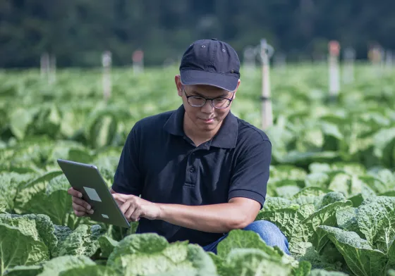 ビジュアル画像